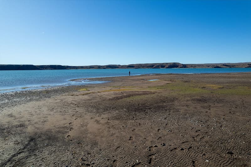 SAURO — el río Limay